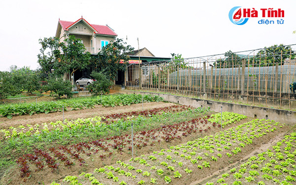ha tinh 38 khu dan cu ntm kieu mau vao vong chung khao