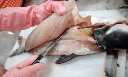 thue ca tra vao my gap doi gia xuat khau