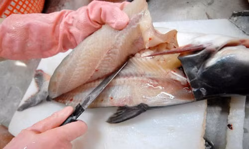 thue ca tra vao my gap doi gia xuat khau