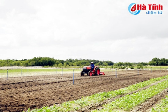 Để có sự phối hợp chặt chẽ thì DN cần cung cấp đầu mối để vừa phối hợp, vừa tạo điều kiện cho ngành quản lý quy hoạch và bám sát sản xuất