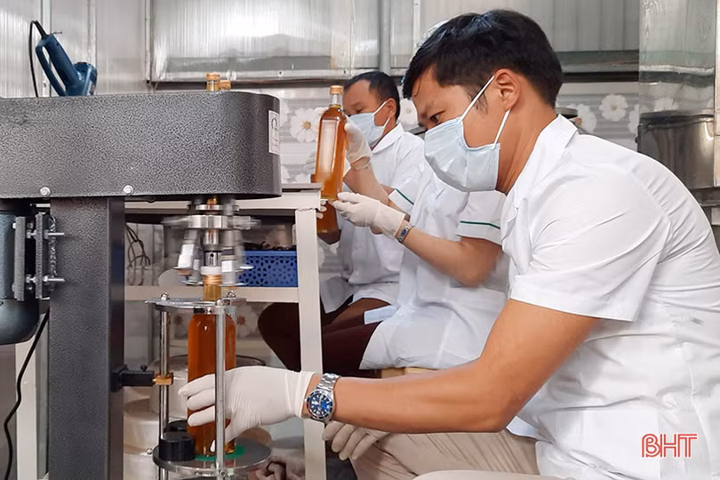 Một hợp tác xã ở Hà Tĩnh sản xuất mật ong đạt chuẩn VietGAP 