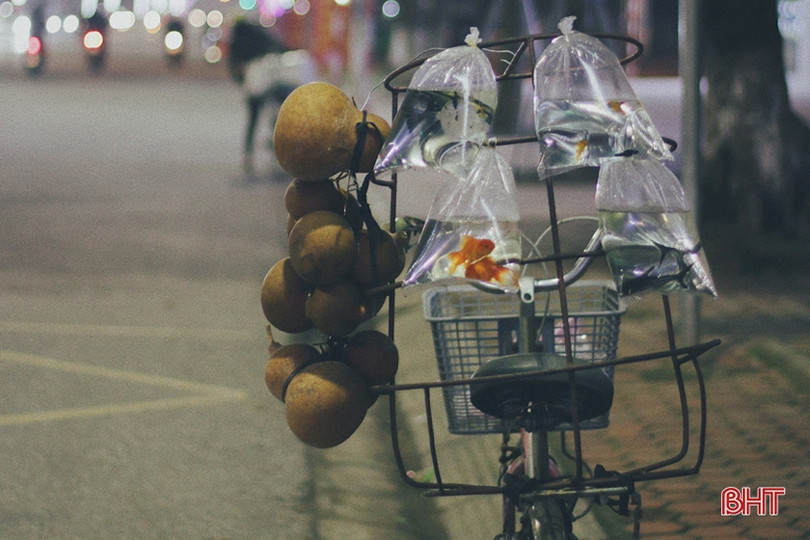 Ngắm Thành Sen đẹp dịu dàng, mộc mạc trong chiều cuối năm