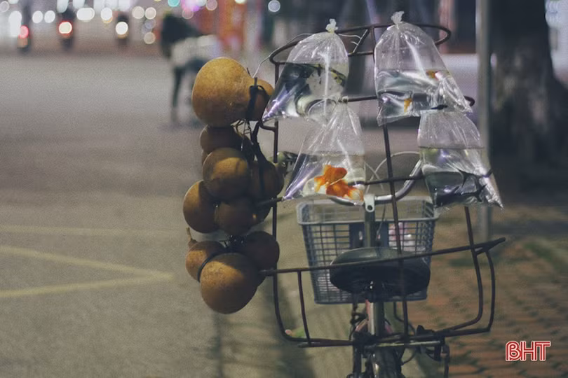 Ngắm Thành Sen đẹp dịu dàng, mộc mạc trong chiều cuối năm