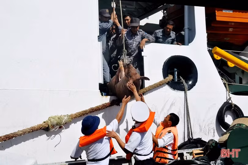 Mang “Tết” ra Trường Sa