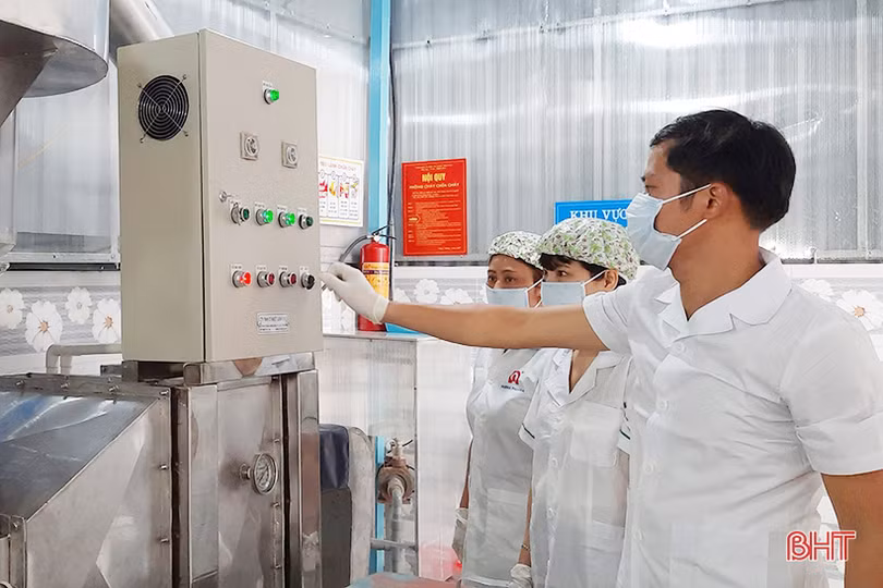 Một hợp tác xã ở Hà Tĩnh sản xuất mật ong đạt chuẩn VietGAP 