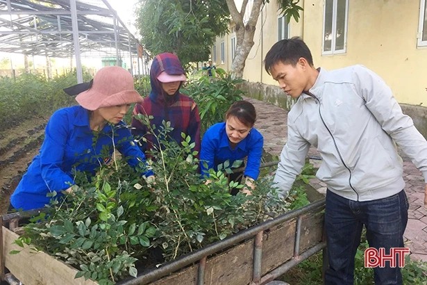 Tuổi trẻ Hà Tĩnh rộn ràng tình nguyện đón xuân