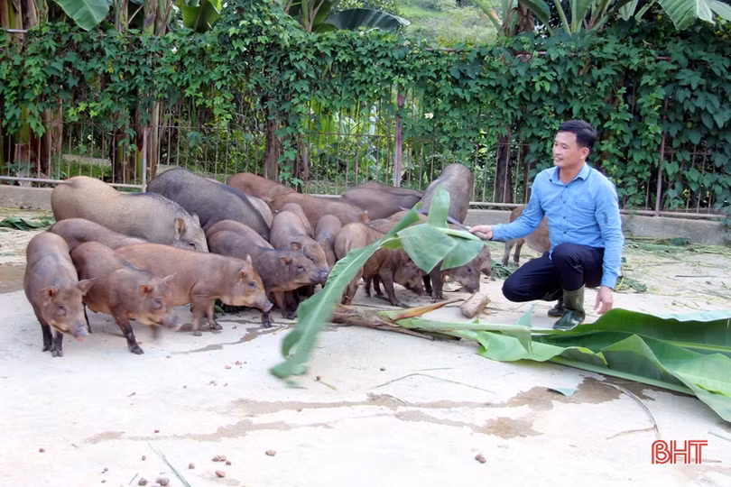 “Dân vận khéo”- những quả ngọt trong xây dựng NTM ở Hương Sơn