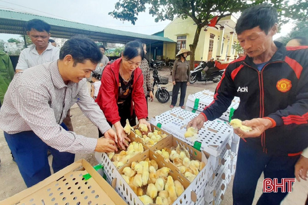 Tạp chí Nông Thôn Mới trao tặng 5.000 con gà giống cho bà con Hà Tĩnh