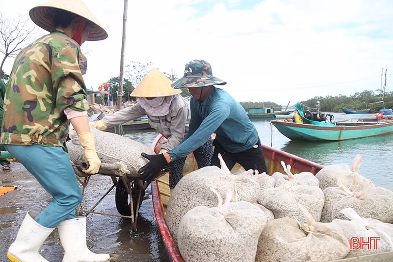 Người nuôi ngao ở Hà Tĩnh khôi phục sản xuất sau mưa lũ