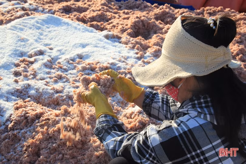 Trúng đậm ruốc biển 5 ngày liên tiếp, ngư dân Hà Tĩnh thu hàng trăm triệu