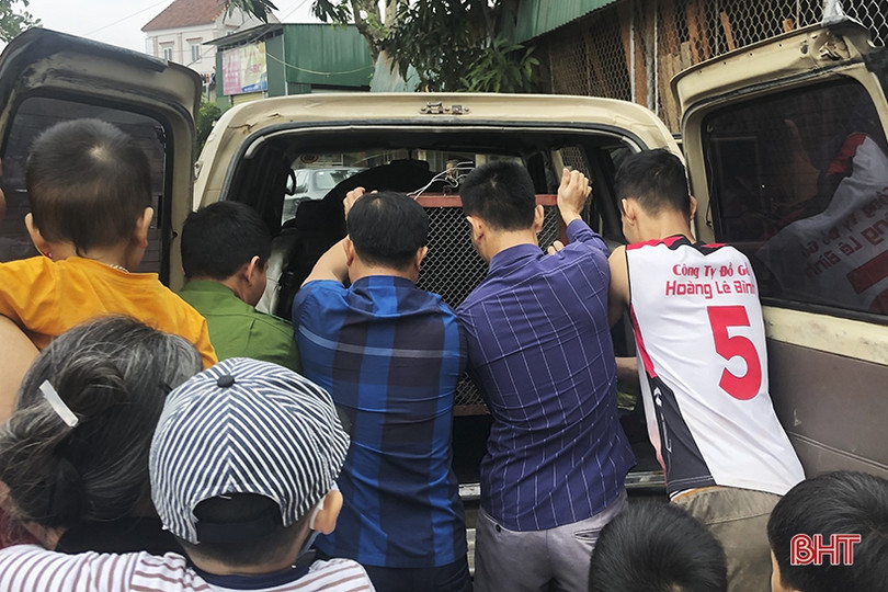 Thả trăn gấm quý hiếm nặng 35 kg về môi trường tự nhiên