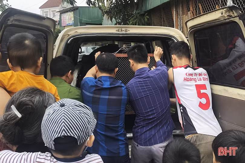 Thả trăn gấm quý hiếm nặng 35 kg về môi trường tự nhiên