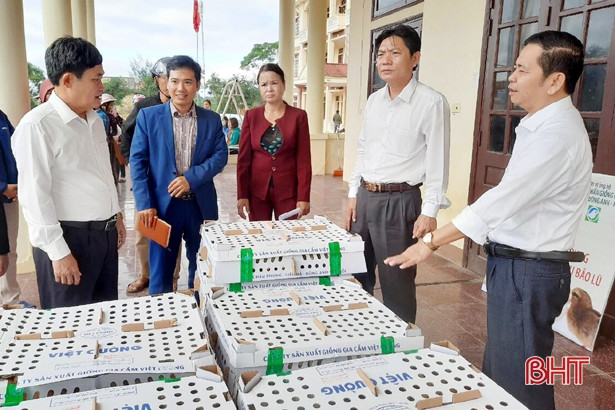 Tạp chí Nông Thôn Mới trao tặng 5.000 con gà giống cho bà con Hà Tĩnh