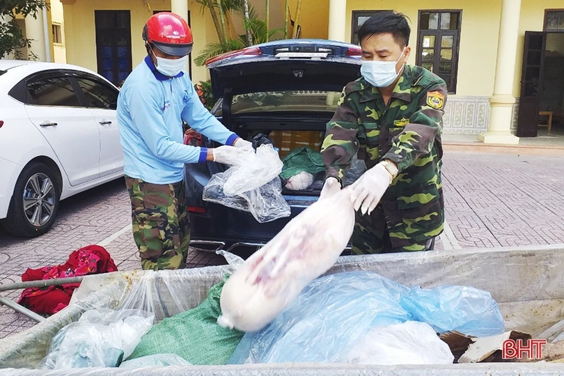 Gần 2 tạ lợn sữa không rõ nguồn gốc suýt thành “món ngon” tiệc cưới