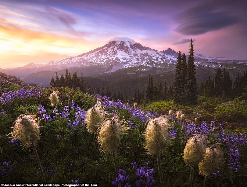 Mê mẩn loạt ảnh phong cảnh đoạt giải International Landscape Photographer of the Year 2020