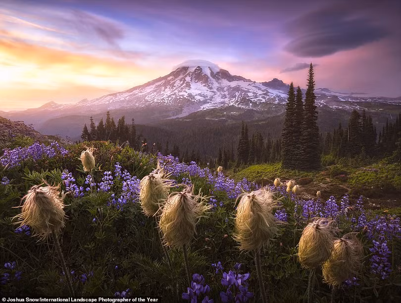 Mê mẩn loạt ảnh phong cảnh đoạt giải International Landscape Photographer of the Year 2020