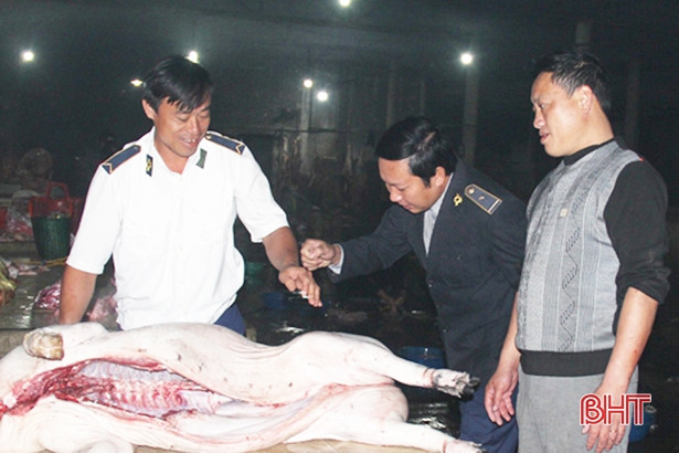 Lộc Hà gấp rút triển khai nhiều biện pháp bảo vệ đàn lợn 12.355 con