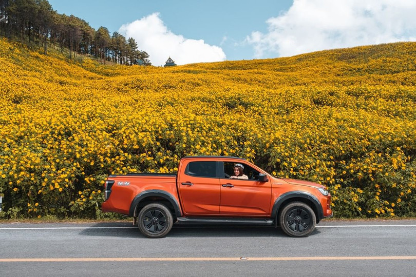 Xuân về, mận nở bung trắng sườn đồi