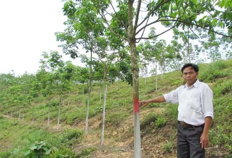 Rừng cao su 5 năm tuổi chuẩn bị khai thác, đã bị đánh dấu nằm trong mốc quy hoạch bãi rác Rừng cao su 5 năm tuổi chuẩn bị khai thác, đã bị đánh dấu nằm trong mốc quy hoạch bãi rác