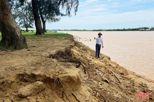 Sạt lở bờ sông tàn phá "ốc đảo" Hồng Lam
