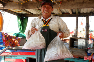 Mực tươi được giá, ngư dân Hà Tĩnh tích cực vươn khơi 