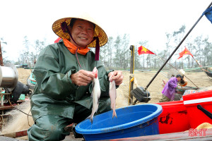 Cá cháo đầu mùa được giá, ngư dân phấn khởi đánh bắt
