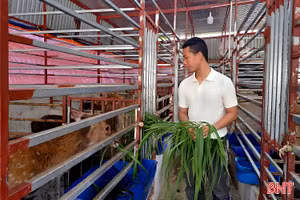Nuôi “đặc sản” rừng thành công trên vùng biển ngang