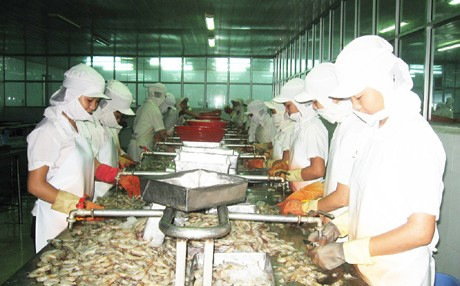 Chế biến thủy hải sản tiếp tục là mặt hàng xuất khẩu chủ lực của Hà Tĩnh