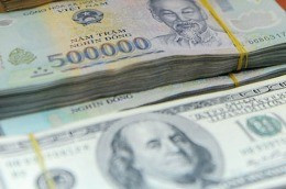 TS. Trần Du Lịch xem việc lập “Quỹ ổn định tỷ giá VND” là biện pháp tình thế để chống đầu cơ