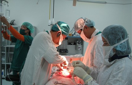Một ca mổ cắt dạ dày và nạo vét hạch cho bệnh nhân ung thư dạ dày...
