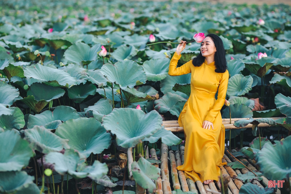 Ngắm thiếu nữ Hà Tĩnh đẹp “mơ màng” bên sắc sen hồng