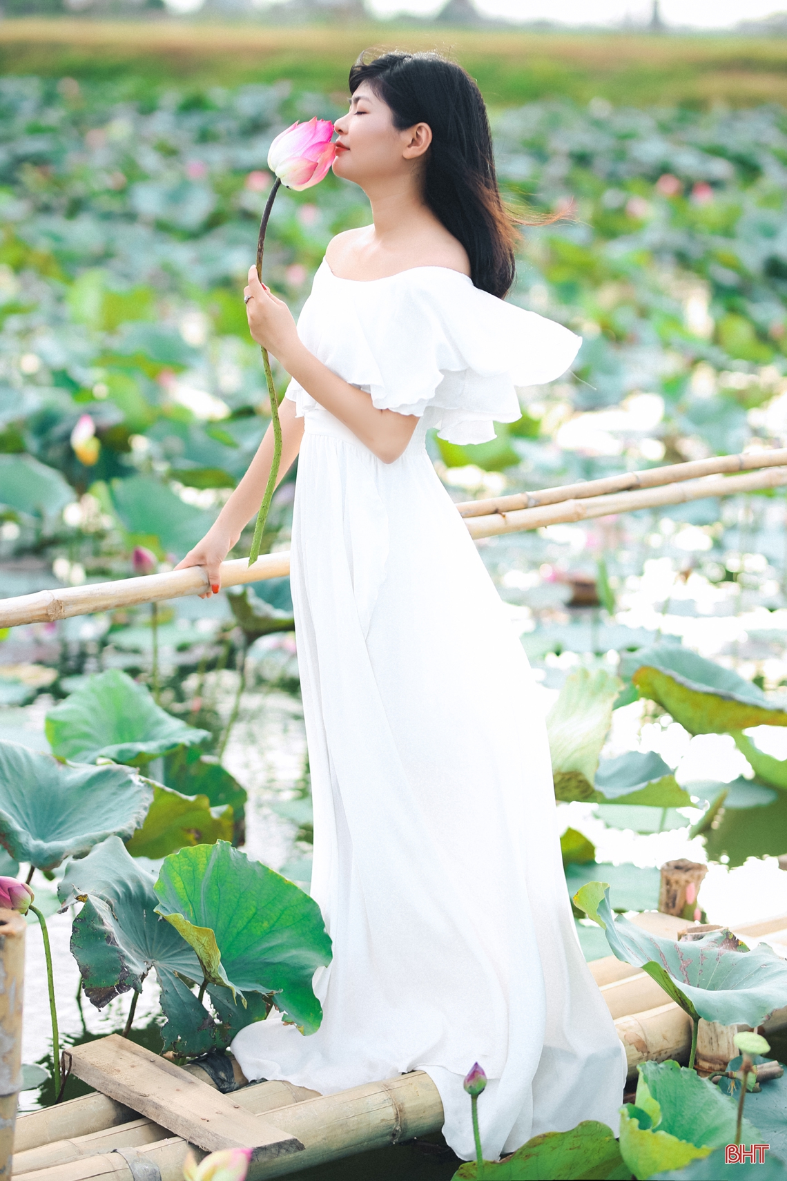 Ngắm thiếu nữ Hà Tĩnh đẹp “mơ màng” bên sắc sen hồng