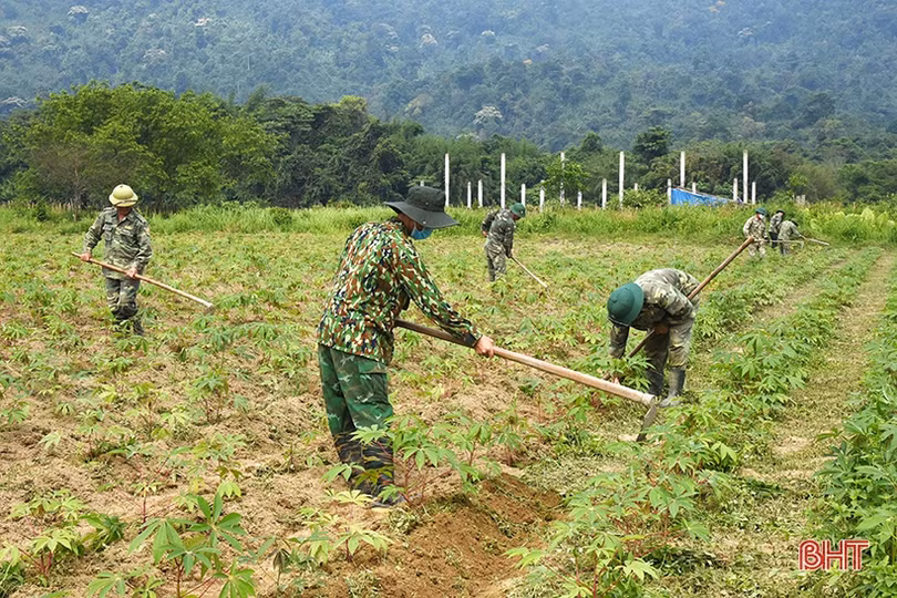 Đồn Biên phòng Hương Quang tăng gia sản xuất, đảm bảo nguồn thực phẩm sạch