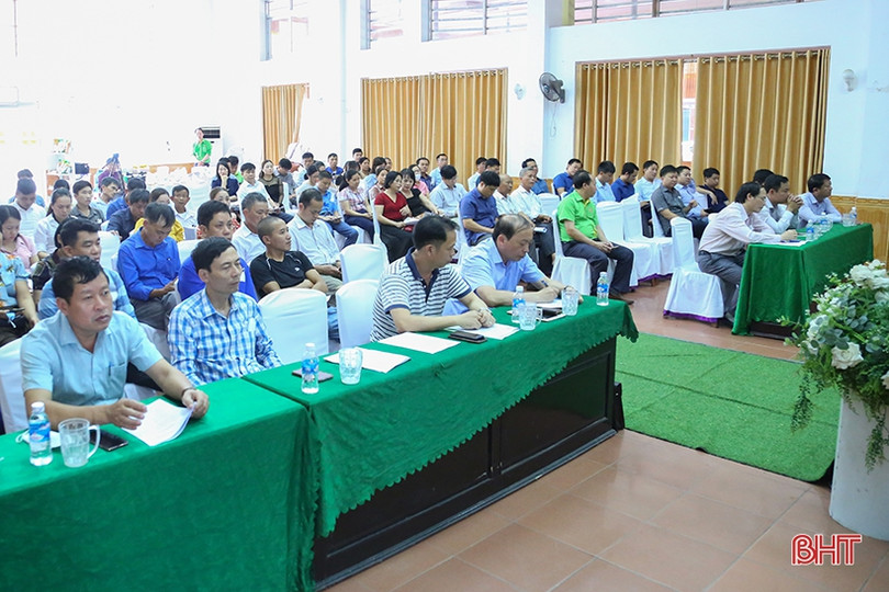 Giống lúa thử nghiệm HANA 7 sinh trưởng tốt, năng suất dự kiến 64 tạ/ha