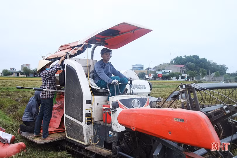 Chủ động ngăn tình trạng tranh giành, bảo kê gặt lúa ở Hà Tĩnh