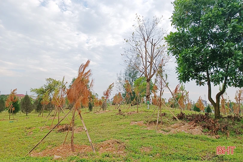 Những hình ảnh chưa đẹp ở công viên trung tâm TP Hà Tĩnh