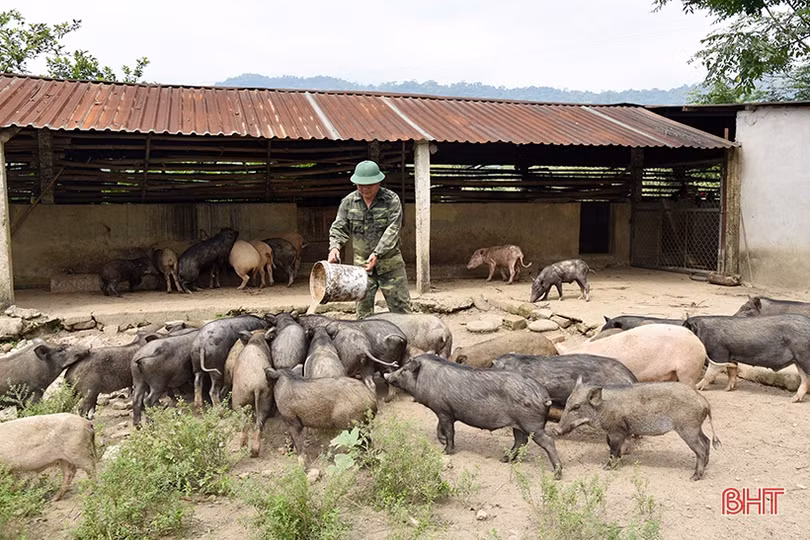 Đồn Biên phòng Hương Quang tăng gia sản xuất, đảm bảo nguồn thực phẩm sạch