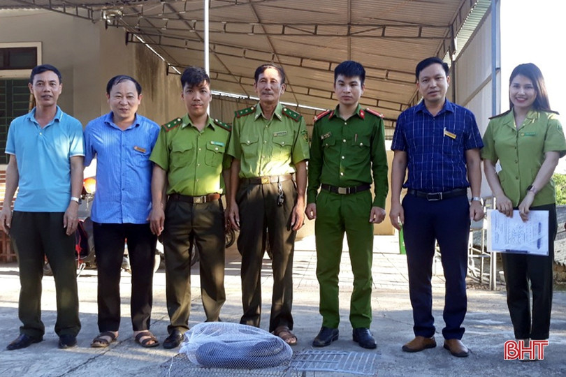 Rắn hổ mang chúa dài hơn 3m “đột nhập” trường học miền núi Hà Tĩnh