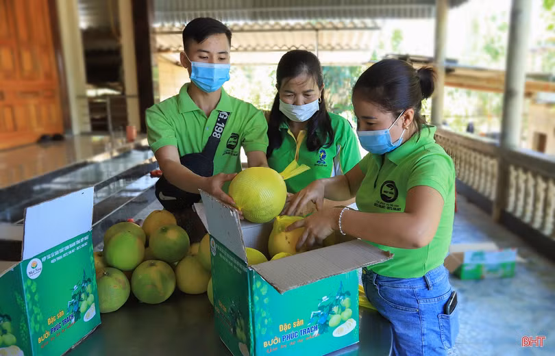 Xây dựng nông thôn mới ở Hà Tĩnh - “vẽ cả ngày mai thành bức tranh”
