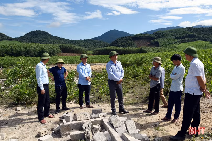 Đảm bảo tiến độ dự án cao tốc Bắc - Nam qua địa bàn huyện Kỳ Anh