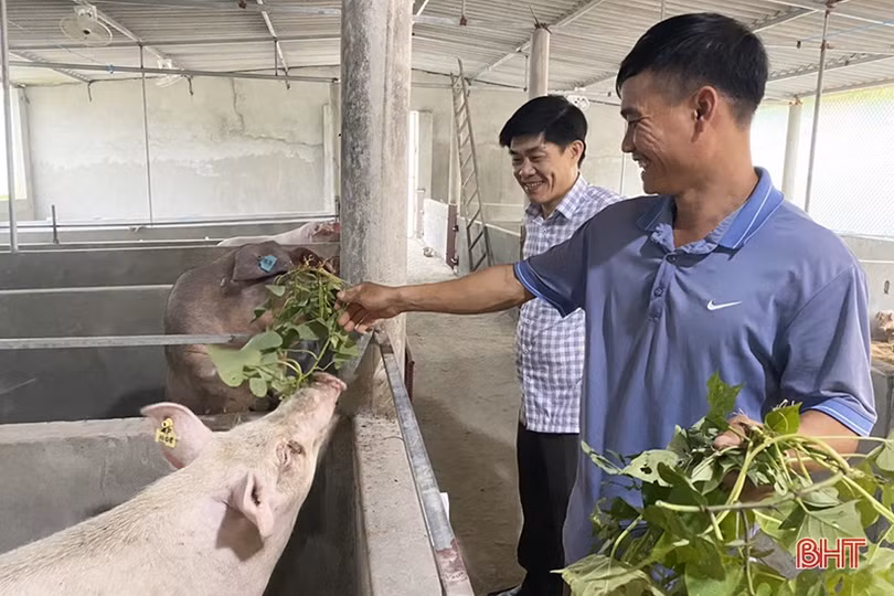 Vũ Quang xây dựng nền nông nghiệp hữu cơ tuần hoàn