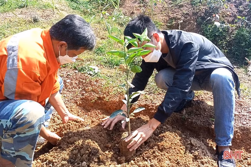 Vũ Quang xây dựng nền nông nghiệp hữu cơ tuần hoàn