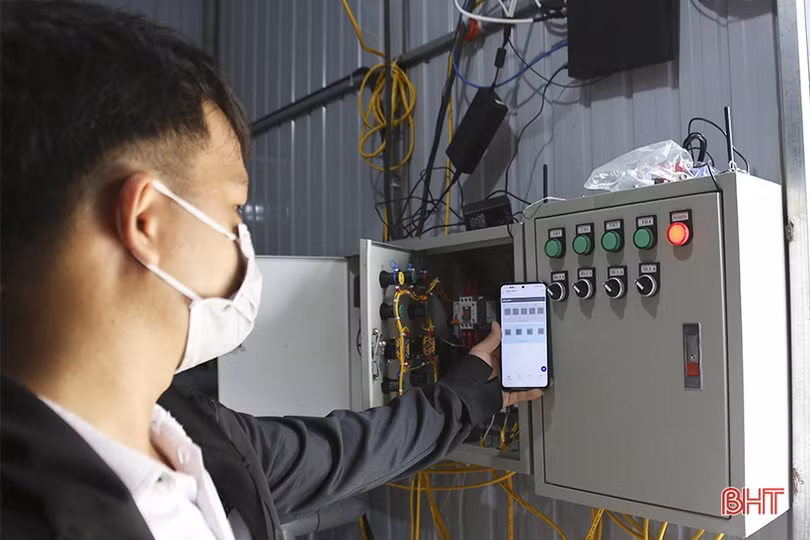 Mục sở thị vườn dưa lê vàng Hàn Quốc rộng hơn 2.000 m<sup>2</sup> tại TP Hà Tĩnh