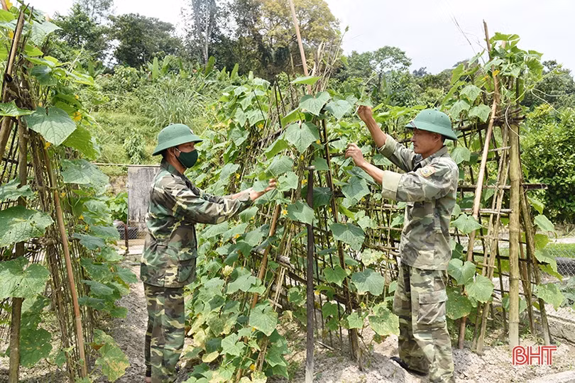 Đồn Biên phòng Hương Quang tăng gia sản xuất, đảm bảo nguồn thực phẩm sạch