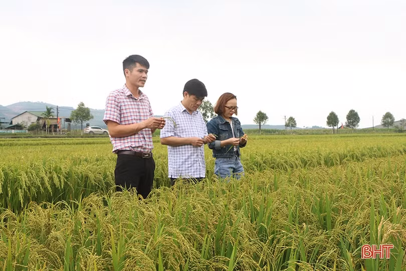 Vũ Quang xây dựng nền nông nghiệp hữu cơ tuần hoàn