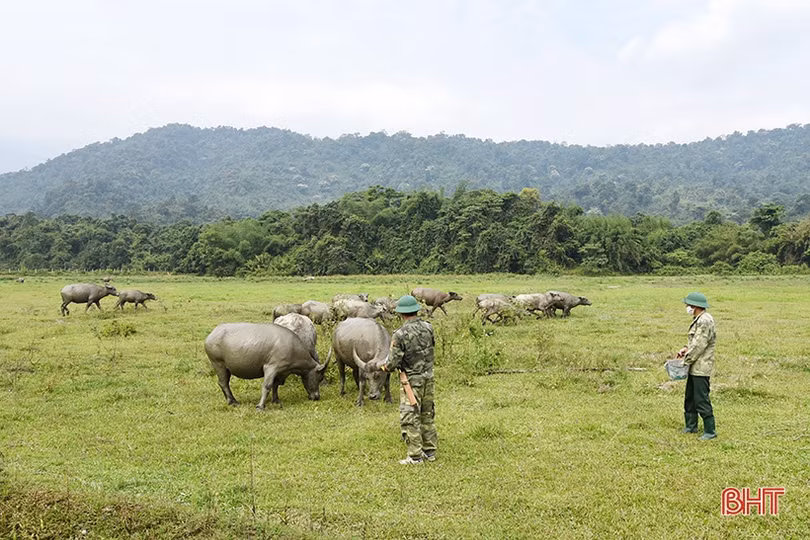 Đồn Biên phòng Hương Quang tăng gia sản xuất, đảm bảo nguồn thực phẩm sạch