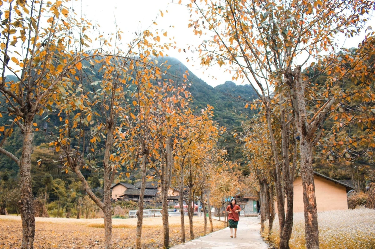 Hà Giang đẹp nên thơ trong mắt cô gái 8X