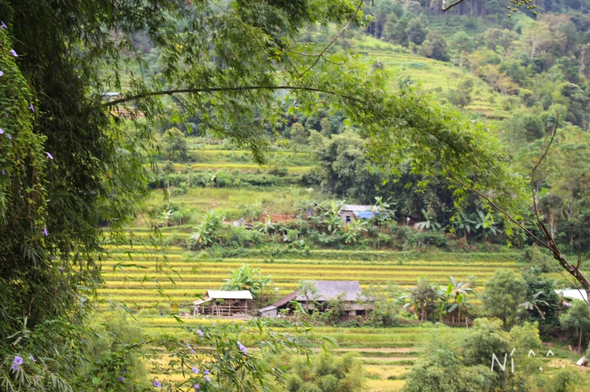 Hà Giang đẹp nên thơ trong mắt cô gái 8X