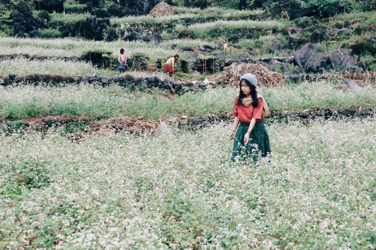 Hà Giang đẹp nên thơ trong mắt cô gái 8X