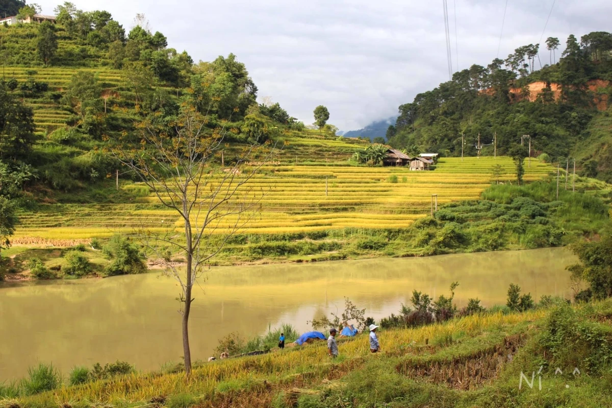 Hà Giang đẹp nên thơ trong mắt cô gái 8X